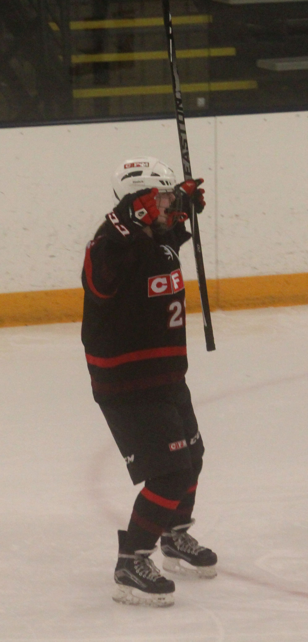 Chi-Hi/Menomonie girls hockey vs Fox Cities at Eau Claire tournament 12-27-17